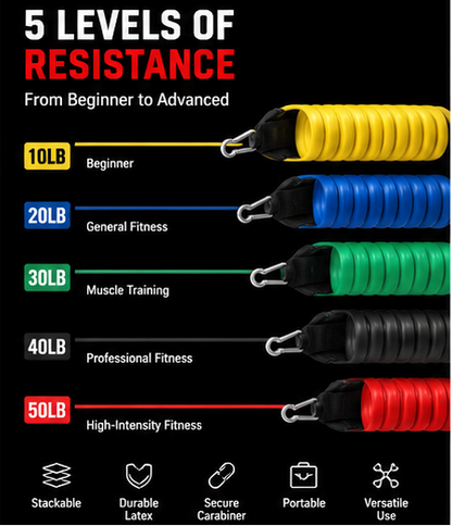 BandForce™ — Heavy Duty Resistance Bands for Strength Training